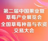 2025第二屆中國合肥果業(yè)暨草莓產業(yè)展覽會<br>全國草莓種苗與農資交易大會